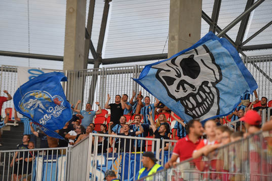 Supporters of Djurgården