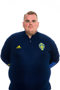 Rasmus Leijon, analytiker