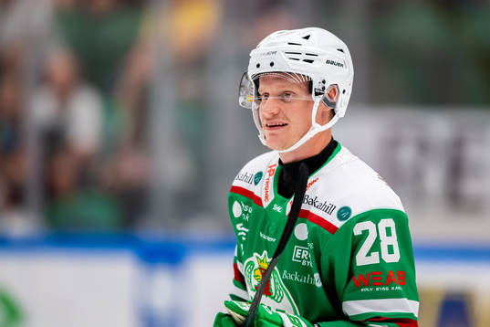 Anton Bengtsson