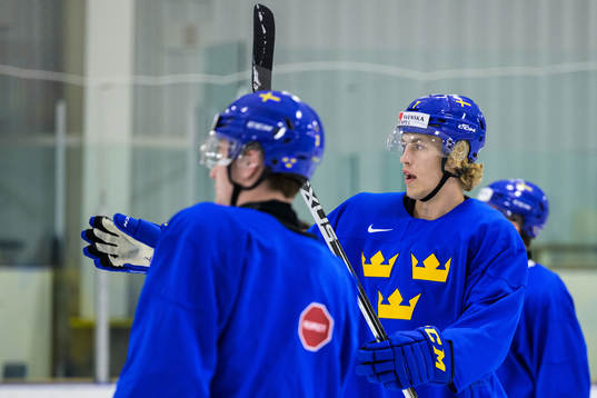 Simon Edvinsson of the Swedish under-20 national ice hockey