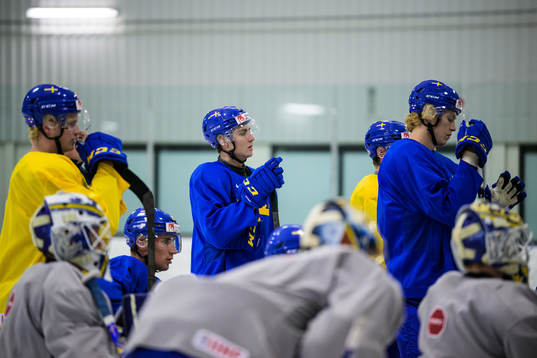 Daniel Ljungman of the Swedish under-20 national ice hockey