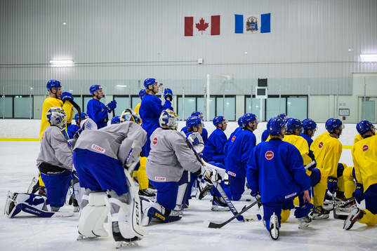 Players of the Swedish under-20 national ice hockey team
