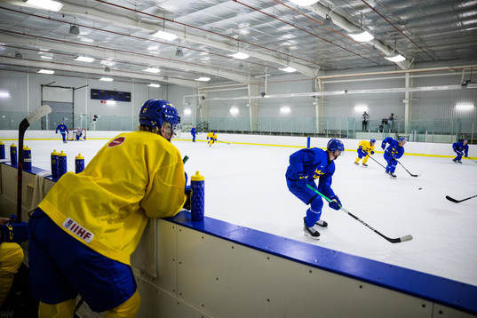 Players of the Swedish under-20 national ice hockey team