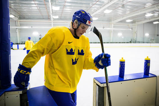 Theodor Niederbach of the Swedish under-20 national ice