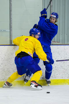 Victor Stjernborg and Simon Edvinsson of the Swedish