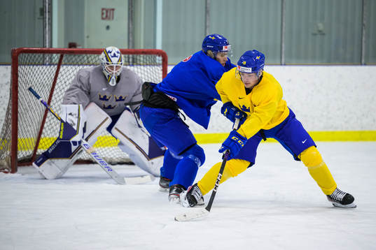 Simon Edvinsson and Victor Stjernborg of the Swedish