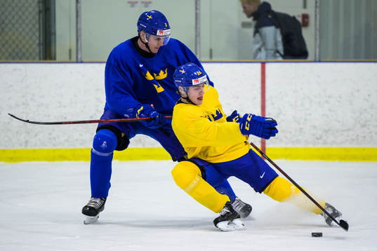 Helge Grans and Jonathan Lekkerimäki of the Swedish