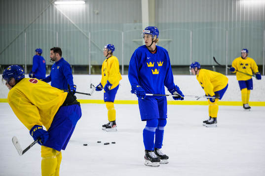 Simon Edvinsson of the Swedish under-20 national ice hockey