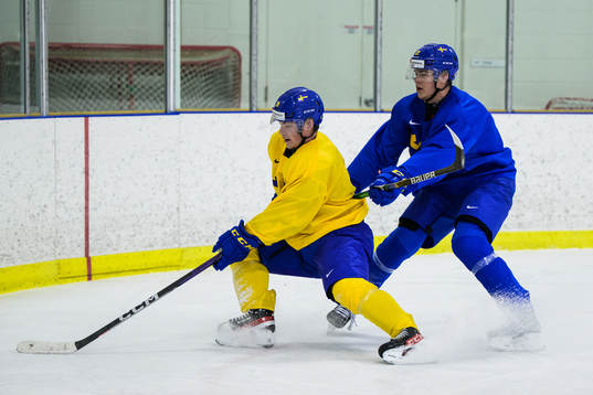 Victor Stjernborg and William Wallinder of the Swedish