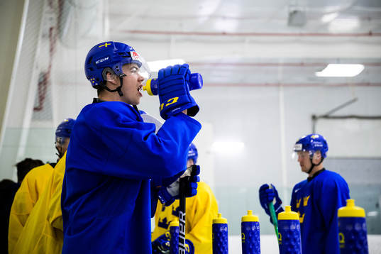 William Wallinder of the Swedish under-20 national ice