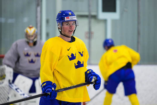 Ludvig Jansson of the Swedish under-20 national ice hockey