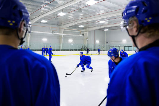 Players of the Swedish under-20 national ice hockey team