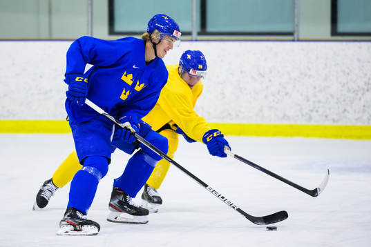Simon Edvinsson and Oskar Magnusson of the Swedish under-20