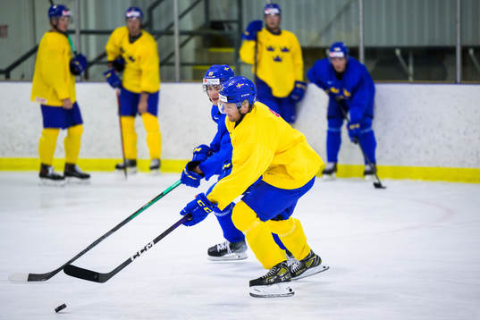 William Wallinder and Måns Forsfjäll of the Swedish