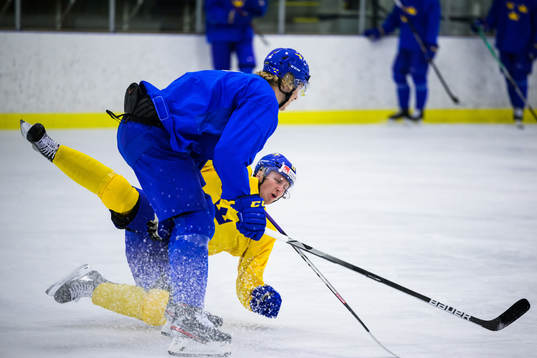 Simon Edvinsson and Oskar Magnusson of the Swedish under-20