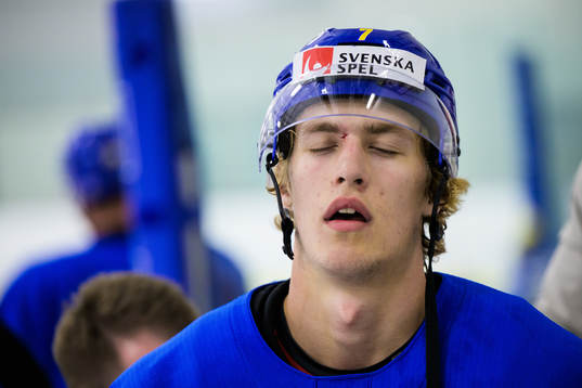 Simon Edvinsson of the Swedish under-20 national ice hockey