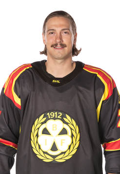 Brynäs Hannes Björninen