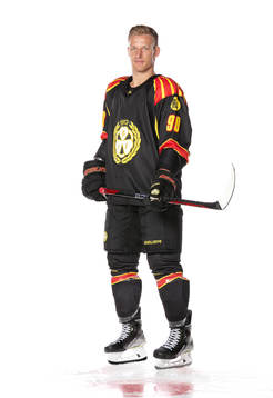 Brynäs David Sklenicka