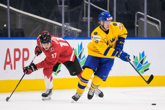 Ridly Greig of Canada and Theodor Niederbach of Sweden