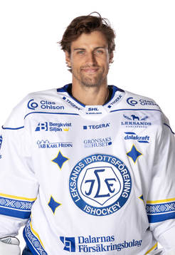 Leksands Mantas Armalis