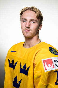 Linus Sjödin of Sweden poses for a portrait