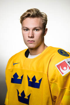 Fabian Lysell of Sweden poses for a portrait
