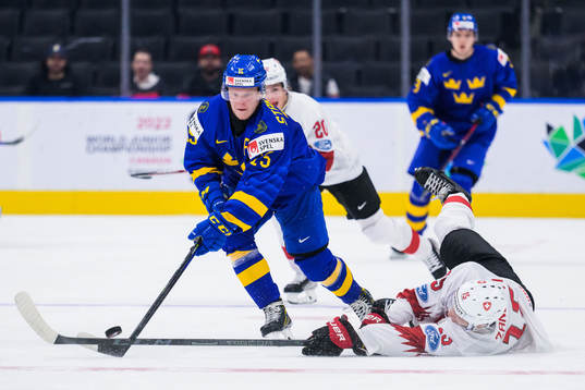 Åke Stakkestad of Sweden and Brian Zanetti of Switzerland