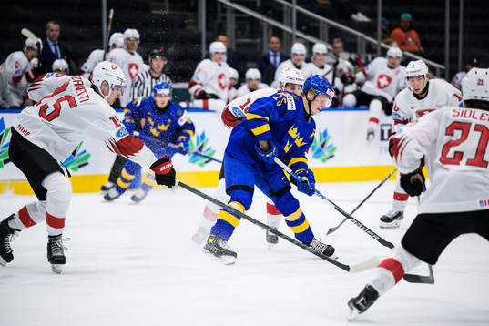 Brian Zanetti of Switzerland and Åke Stakkestad of Sweden