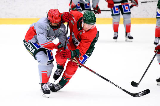 Hanna Olsson och Tom Nilsson