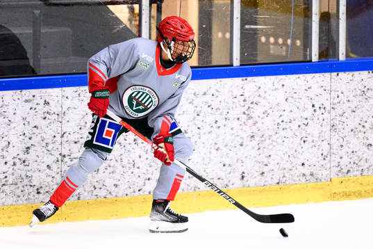 Hanna Olsson