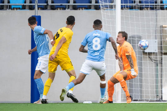 goalkeeper Johan Dahlin of Malmö
