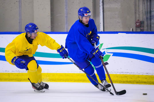 Ludvig Jansson and Jonathan Lekkerimäki of Sweden at a