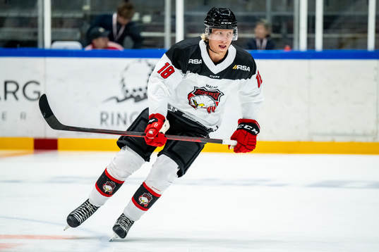 Malmö Redhawks Marcus Sylvegård