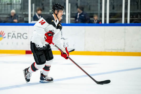 Malmö Redhawks Carl-Johan Lerby