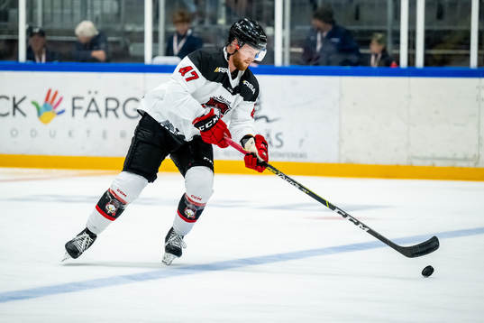 Malmö Redhawks Joakim Ryan