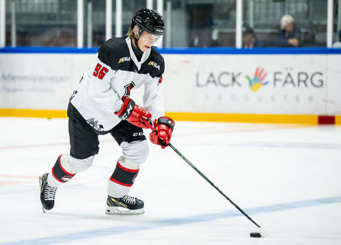Malmö Redhawks Lukas Wernblom