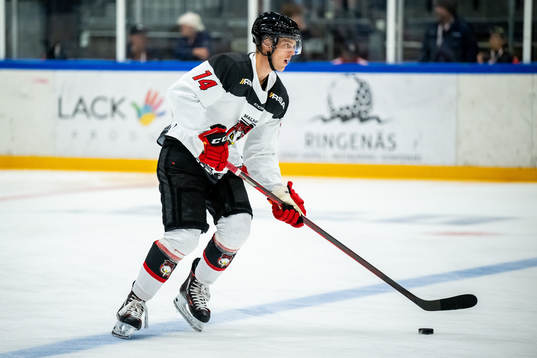 Malmö Redhawks Carl-Johan Lerby