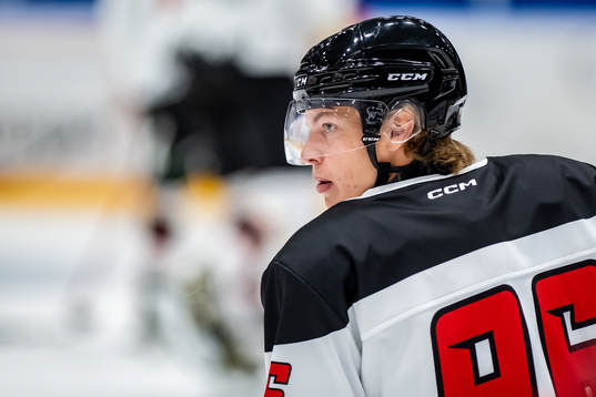 Malmö Redhawks Lukas Wernblom