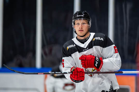 Malmö Redhawks Theodor Johnsson