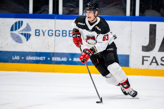 Malmö Redhawks Fredrik Händemark