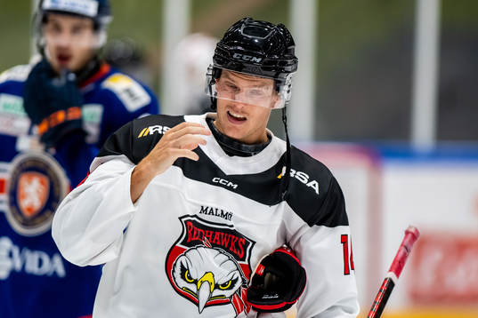 Malmö Redhawks Carl-Johan Lerby deppar