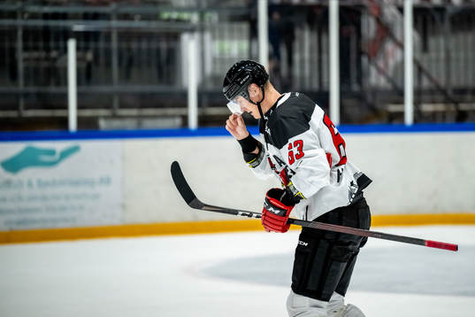 Malmö Redhawks Fredrik Händemark lämnar isen