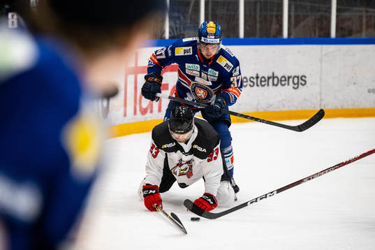 Växjös Glenn Gustafsson och Malmös Kristian Vesalainen