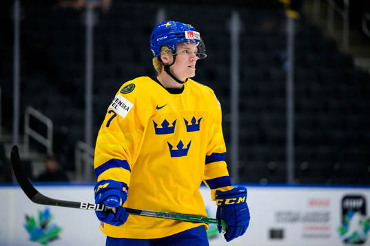 Theodor Niederbach of Sweden