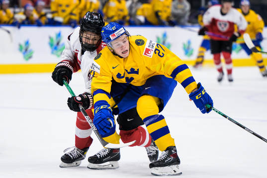 Ian Scherzer of Austria and Theodor Niederbach of Sweden