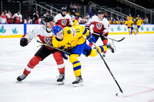 Lukas Horl of Austria and Fabian Lysell of Sweden