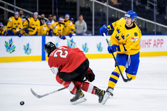 Jonas Dobnig of Austria and Simon Edvinsson of Sweden