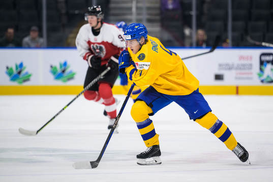 Emil Andrae of Sweden