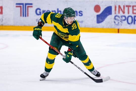 Björklövens Joel Mustonen