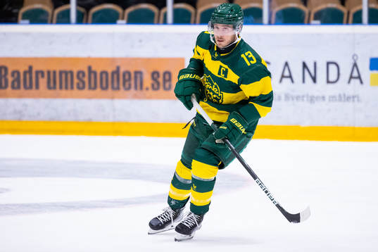 Björklövens Fredric Andersson